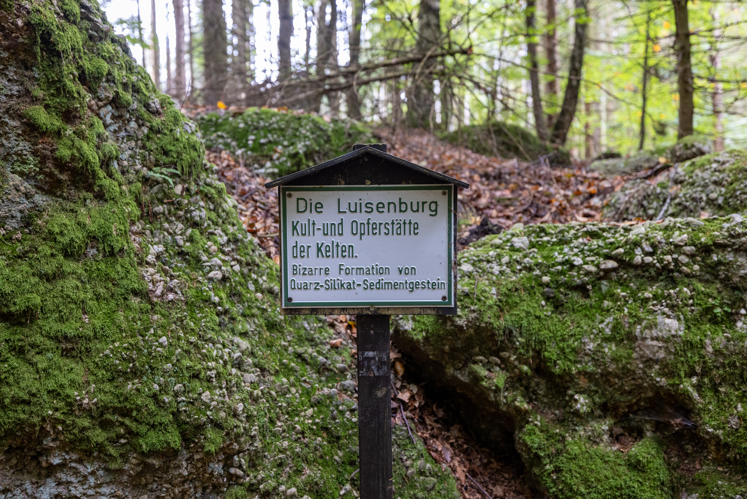 20231015113439 R5D 4410